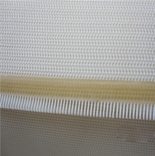 Paper Making Polyester Dryer Screen